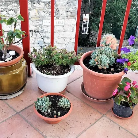 Bruno Centre And Appartement *