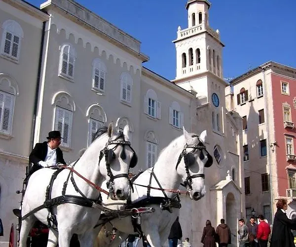 Apartman Bruno Centre And *